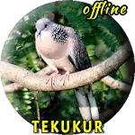 Tekukur Pikat MP3 | Indus Appstore | App Icon