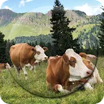 Cow Wallpapers | Indus Appstore | App Icon