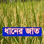 ধানের জাত ~ Rice Varieties | Indus Appstore | App Icon