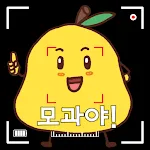 모과야(유니시티점) | Indus Appstore | App Icon