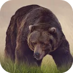 Bear Sounds | Indus Appstore | App Icon