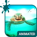 Cute Turtle Wallpaper Theme | Indus Appstore | App Icon