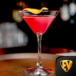 All Cocktail and Drink Recipes | Indus Appstore | App Icon