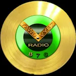 YawdVybzRadio876 | Indus Appstore | App Icon