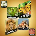 Theriyuma learn GK in Tamil | Indus Appstore | App Icon