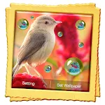 Bird Live Wallpaper | Indus Appstore | App Icon