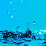 Water Drops Live Wallpaper | Indus Appstore | App Icon