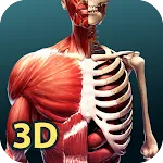 Human Anatomy 3D | Indus Appstore | App Icon