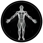 BodBot AI Personal Trainer | Indus Appstore | App Icon