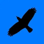 Condor Operations - Blue | Indus Appstore | App Icon