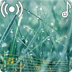 Rain Sounds Ringtone | Indus Appstore | App Icon