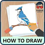 How To Draw Birds | Indus Appstore | App Icon