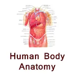 Human body anatomy tips hindi | Indus Appstore | App Icon