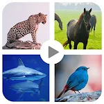 Animal sound for kids Learning | Indus Appstore | App Icon