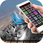 Sleep Cat Simulator Joke | Indus Appstore | App Icon