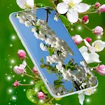 Cherry Blossom Live Wallpaper | Indus Appstore | App Icon