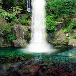 Waterfall Live Wallpaper | Indus Appstore | App Icon