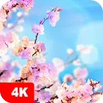 Spring Wallpapers 4K | Indus Appstore | App Icon