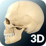 Skull Anatomy Pro. | Indus Appstore | App Icon