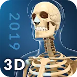 My Skeleton Anatomyapp icon