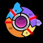 El ciclo celular eucarionte y  | Indus Appstore | App Icon