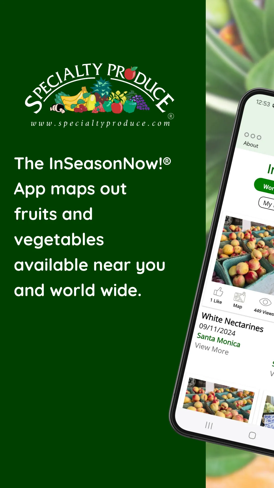 InSeasonNow! | Indus Appstore | Screenshot