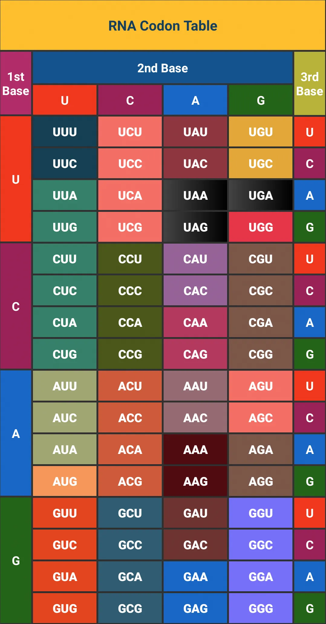 RNA Codon Table (Genetic Code  | Indus Appstore | Screenshot