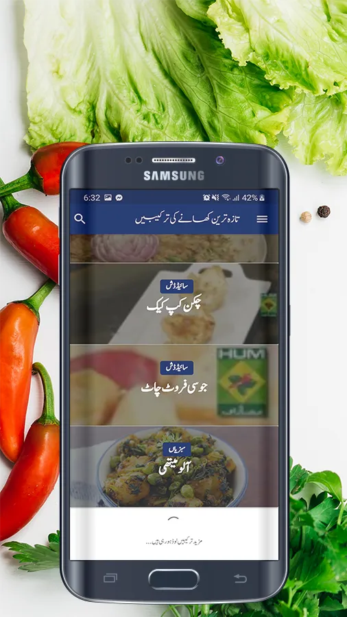 Urdu Recipes | Indus Appstore | Screenshot