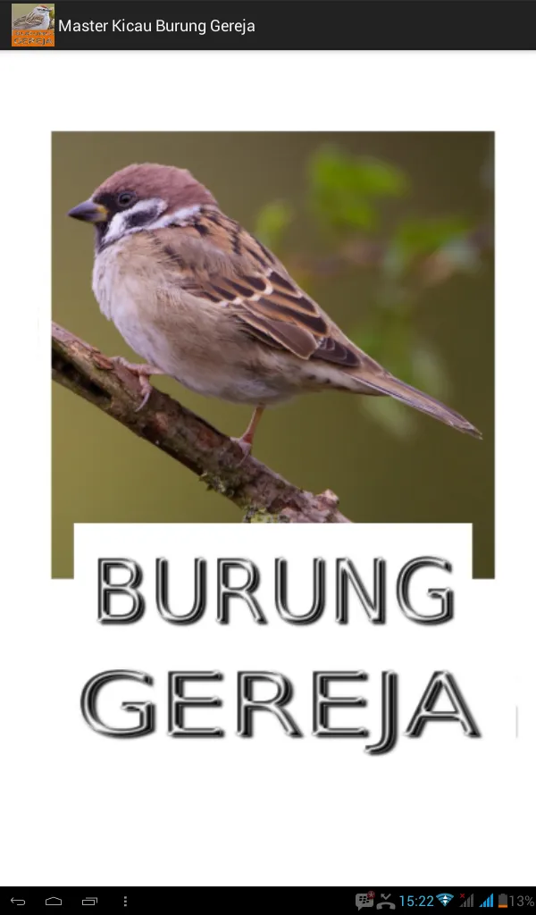 Master Kicau Burung Gereja | Indus Appstore | Screenshot