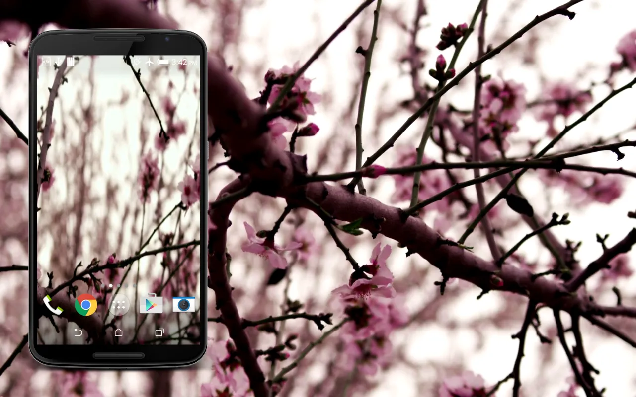 Sakura Live Wallpaper | Indus Appstore | Screenshot