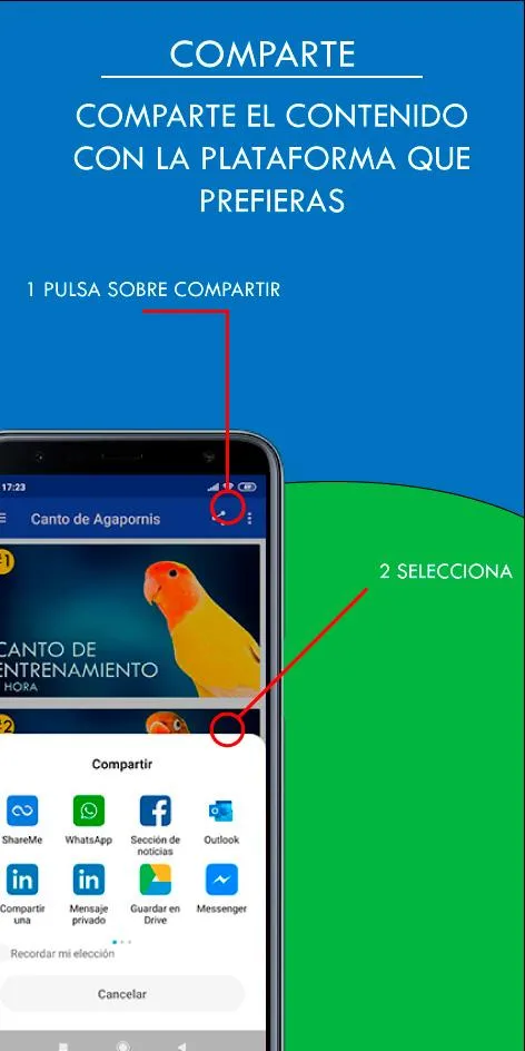 Cantos de Agapornis | Indus Appstore | Screenshot