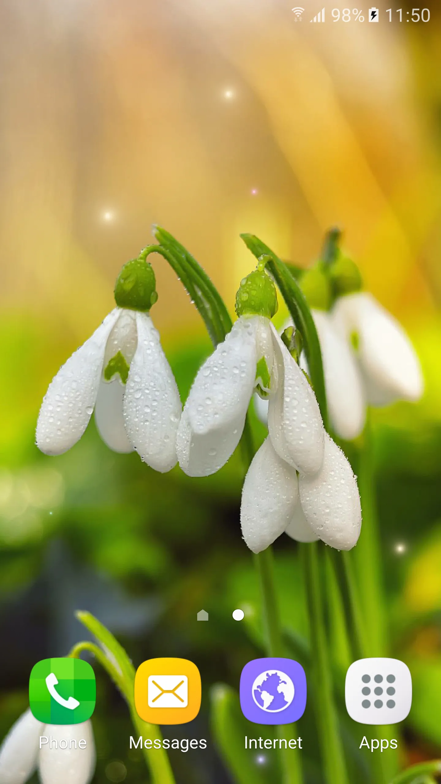 Spring Flowers Live Wallpaper | Indus Appstore | Screenshot