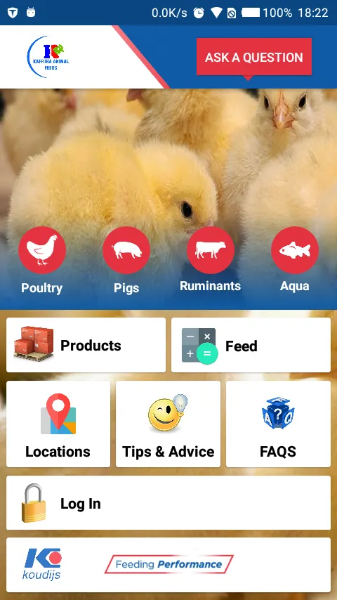 Kaffiika Feeds | Indus Appstore | Screenshot