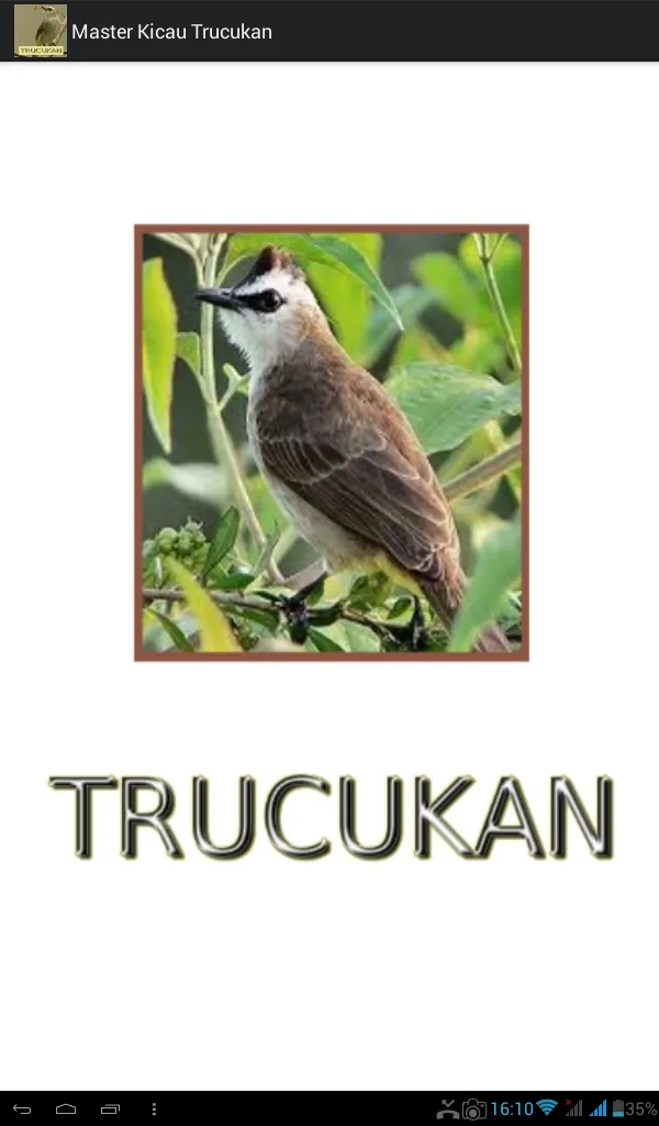 Master Kicau Trucukan | Indus Appstore | Screenshot