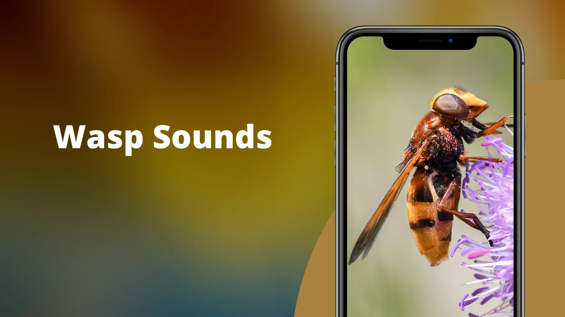 Wasp Sounds | Indus Appstore | Screenshot