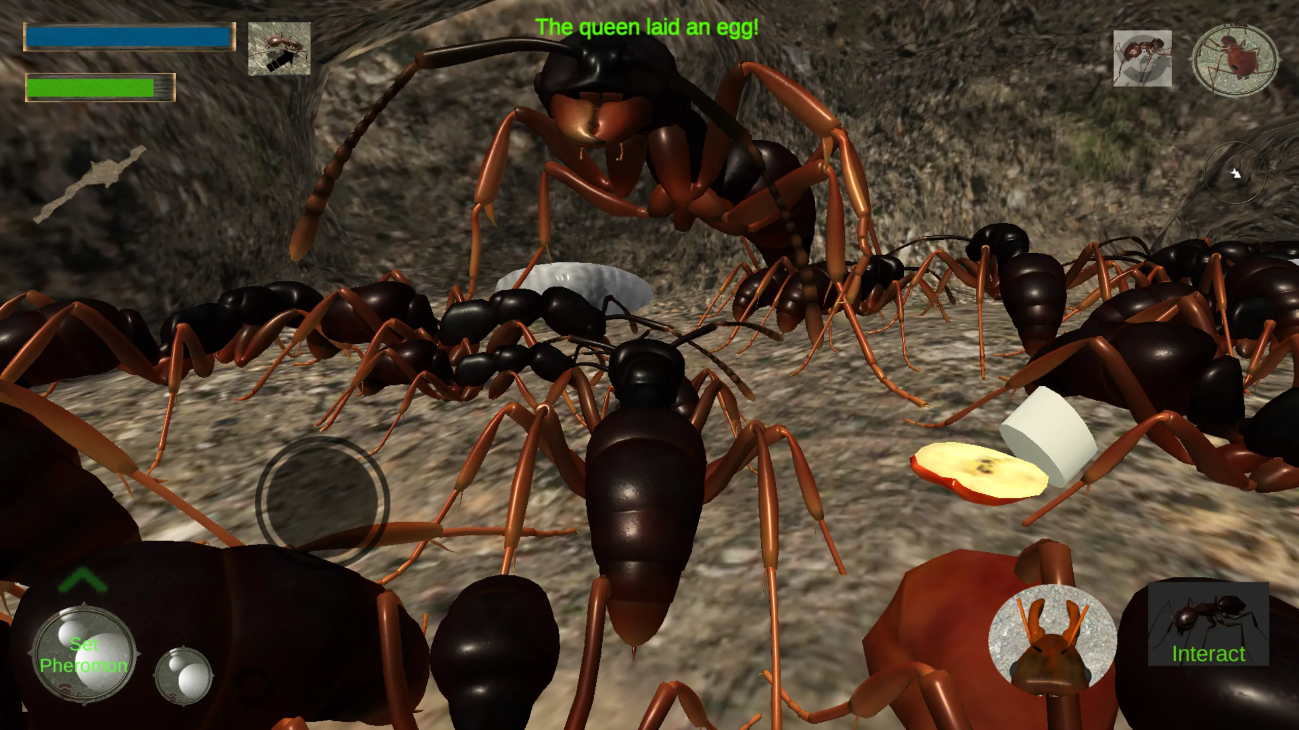 Ant Simulation 3D - Insect Sur | Indus Appstore | Screenshot