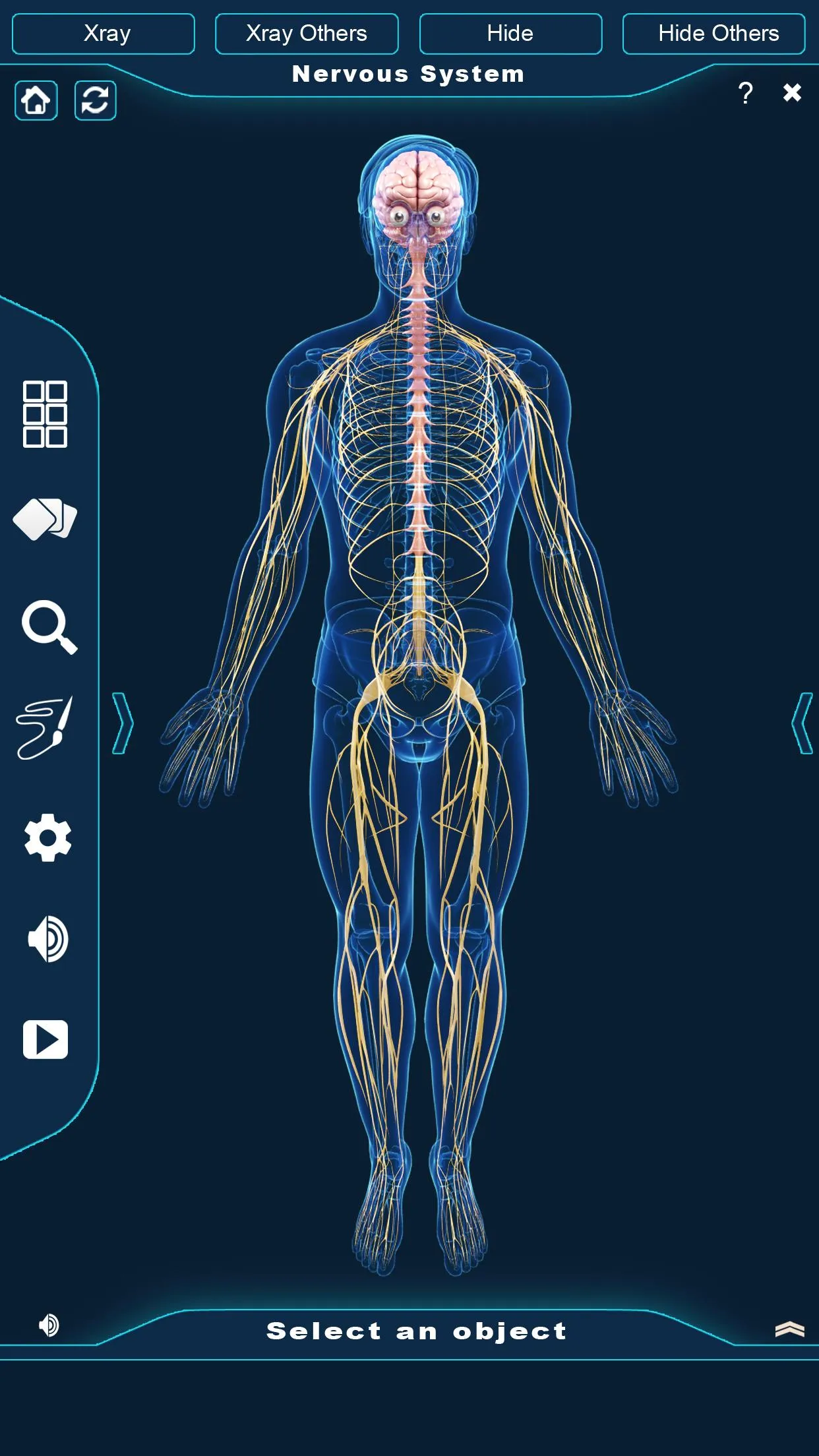 Nervous System Anatomy Pro. | Indus Appstore | Screenshot