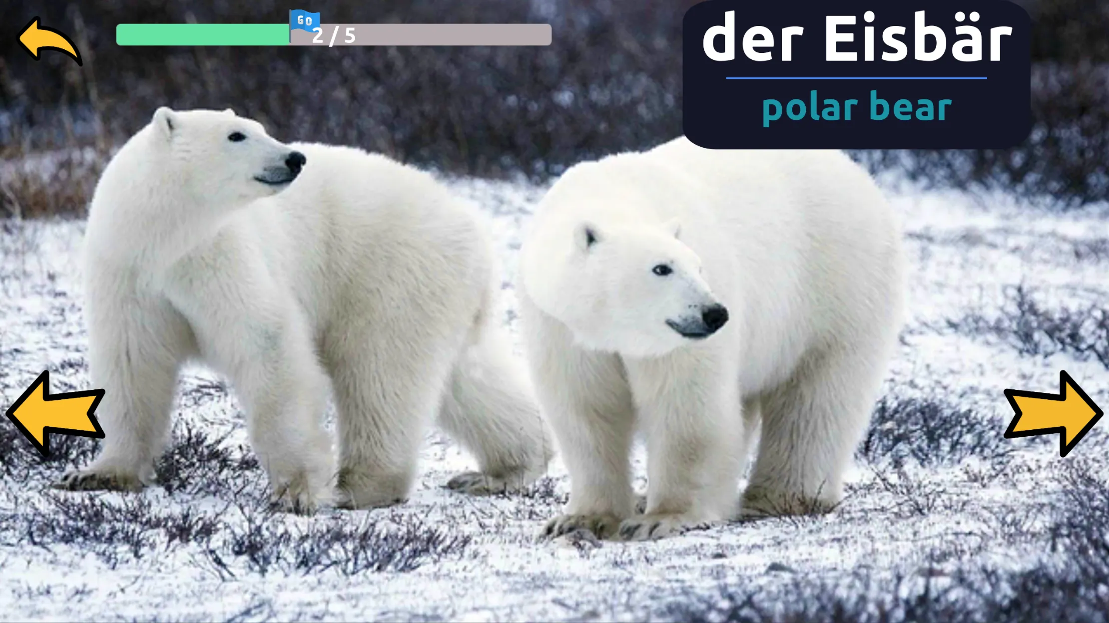 Learn Animals in German | Indus Appstore | Screenshot