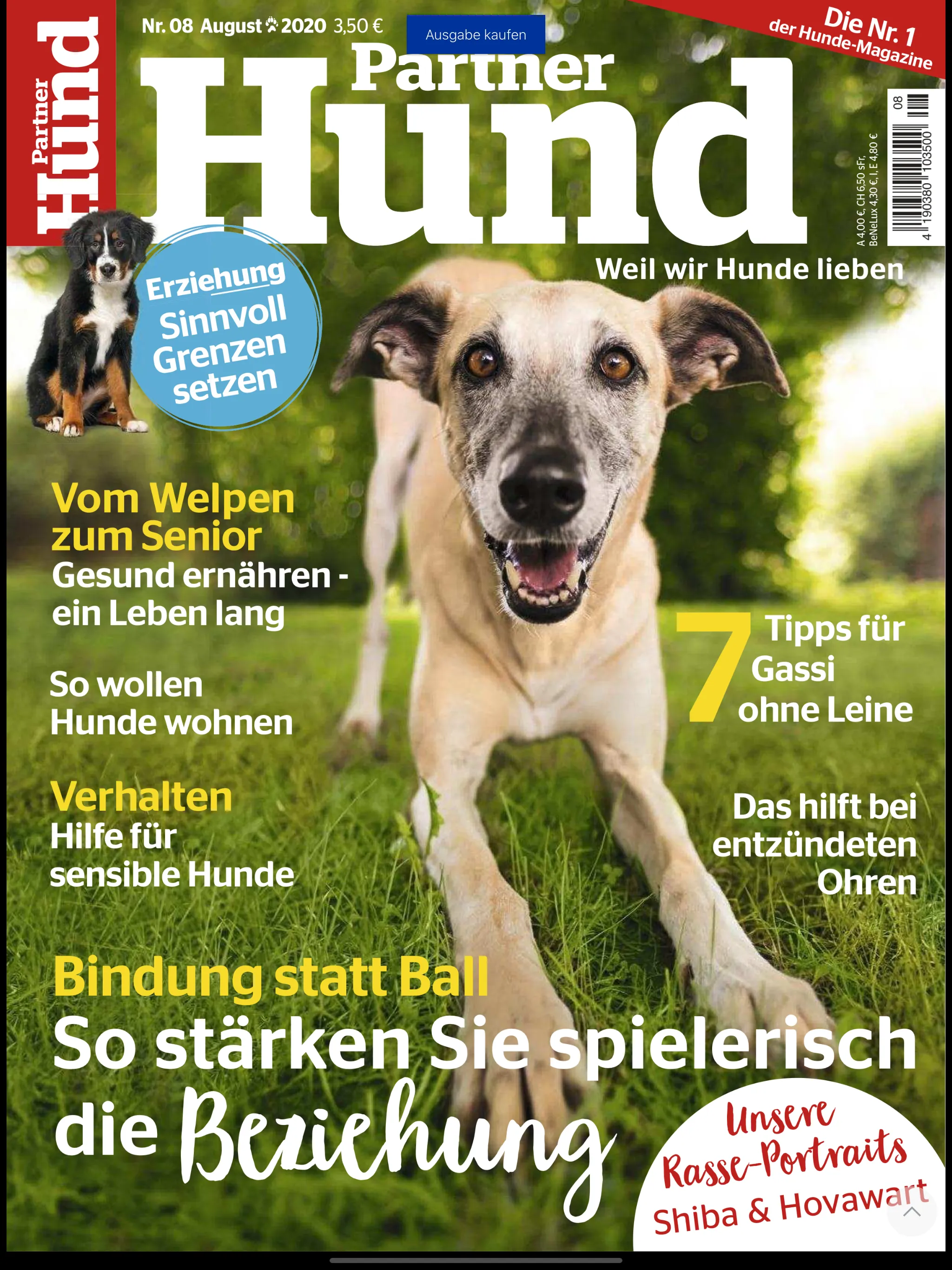 Partner Hund Magazin | Indus Appstore | Screenshot