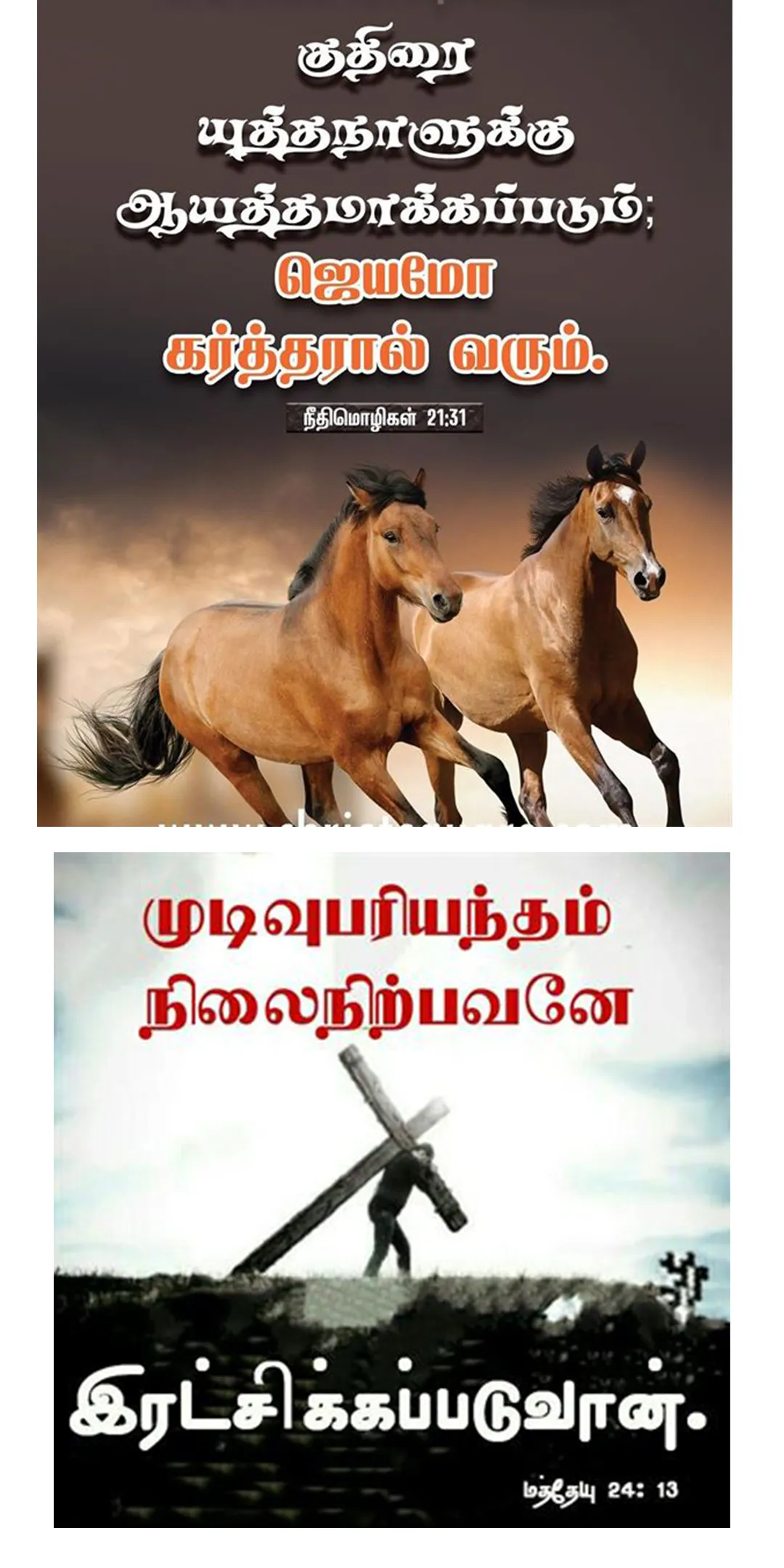 Tamil Bible Verses 2022 | Indus Appstore | Screenshot