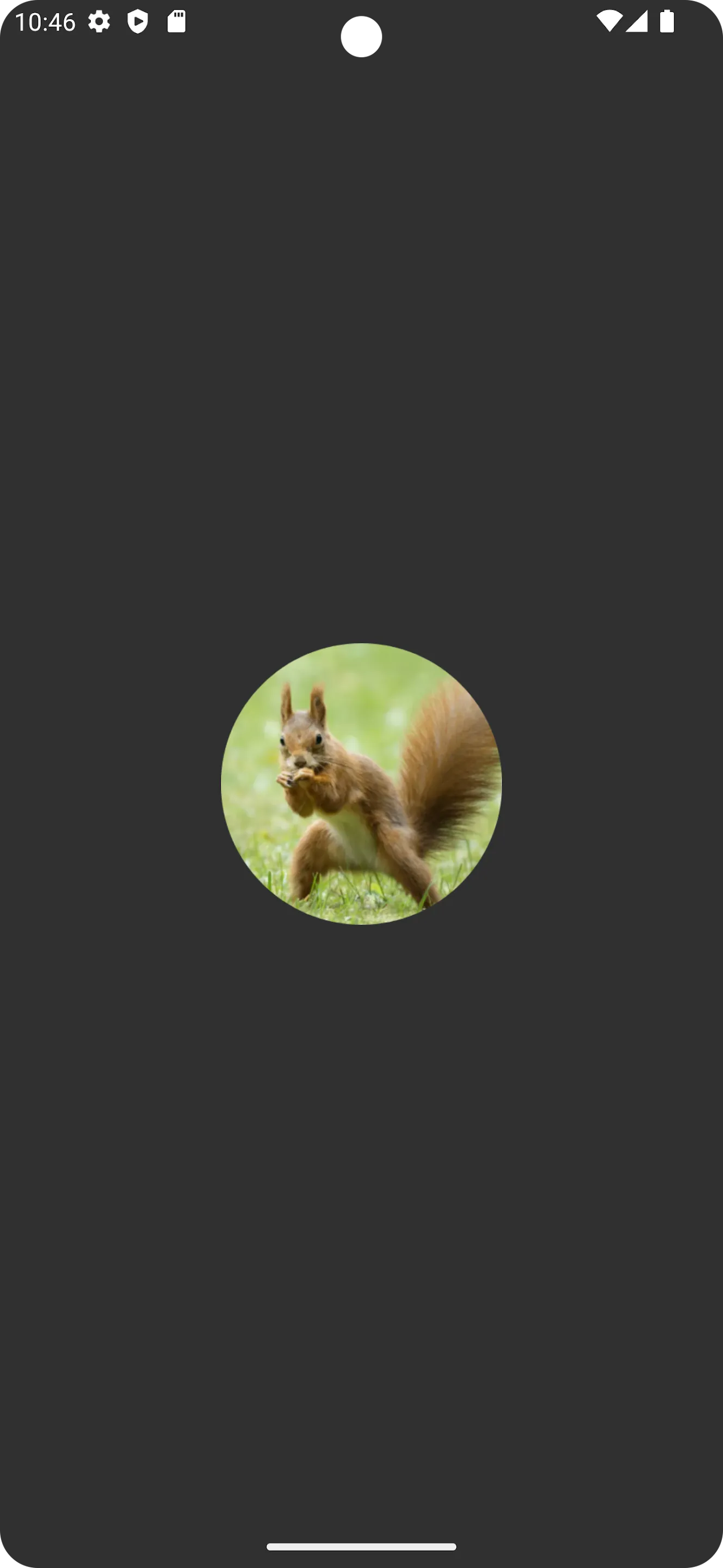 Squirrel Sounds | Indus Appstore | Screenshot