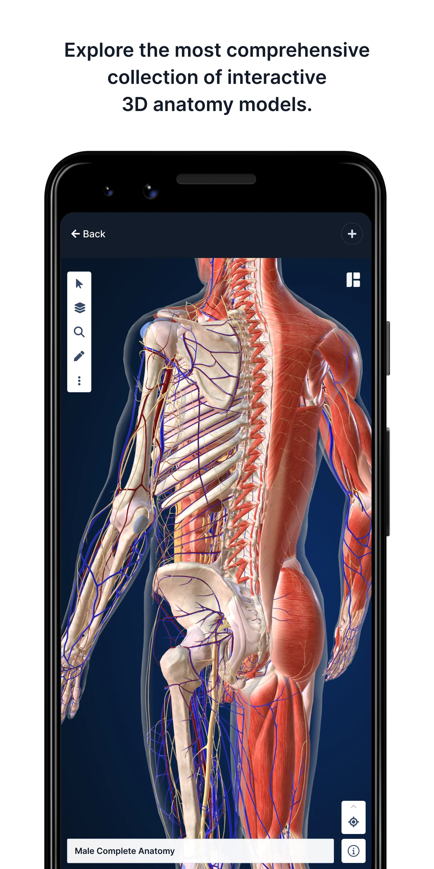 BioDigital Human - 3D Anatomy | Indus Appstore | Screenshot