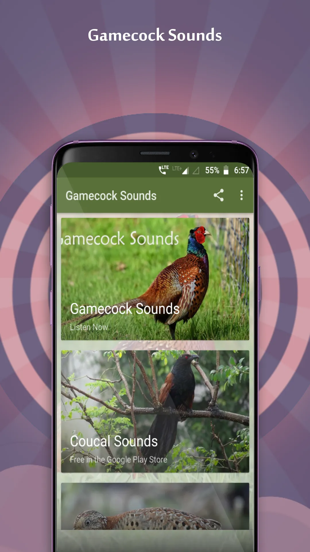 Gamecock Sounds | Indus Appstore | Screenshot