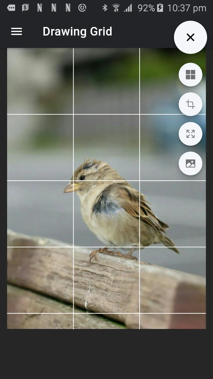 Drawing Grid | Indus Appstore | Screenshot