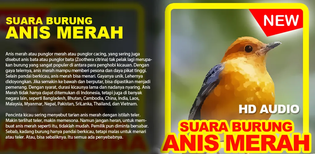 Suara Burung Anis Merah | Indus Appstore | Screenshot