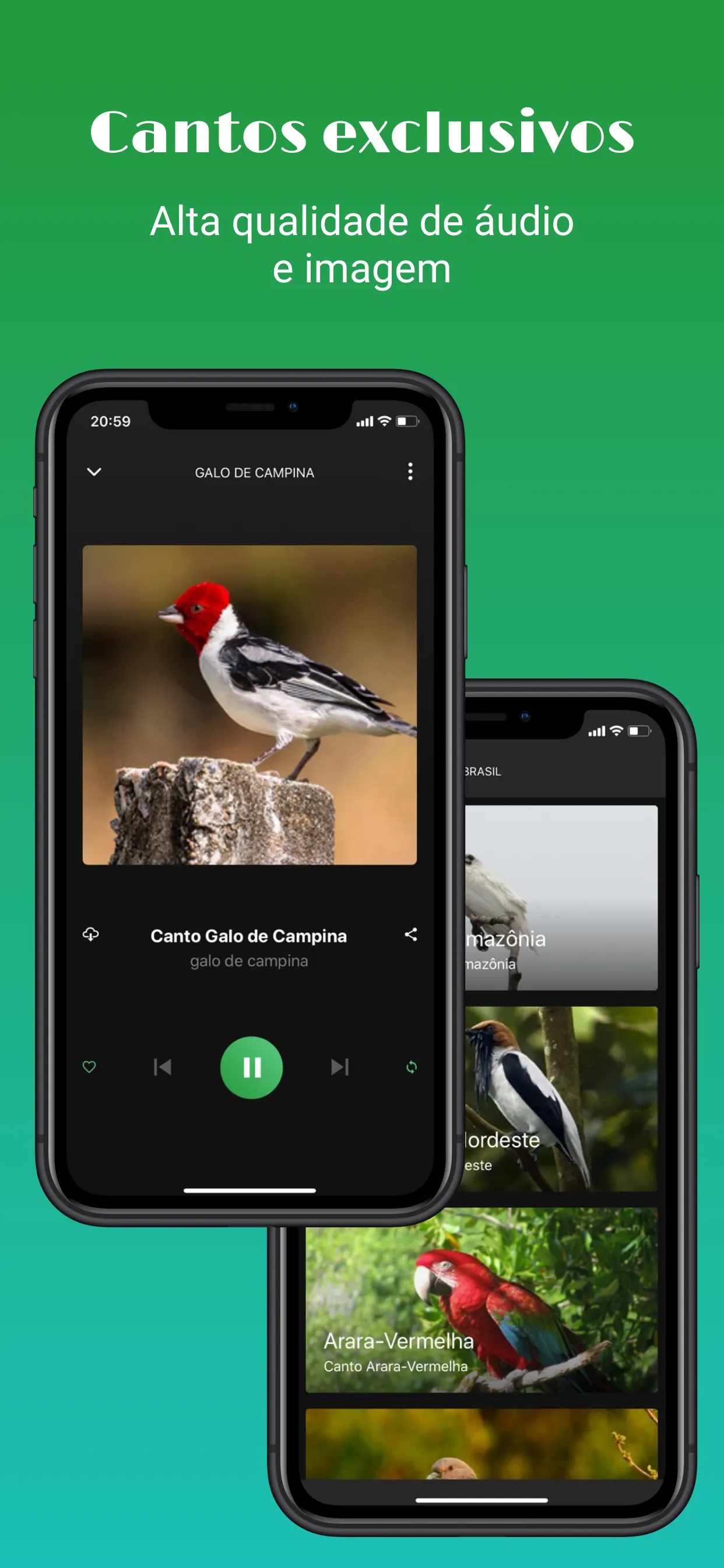 Sounds of birds | Indus Appstore | Screenshot