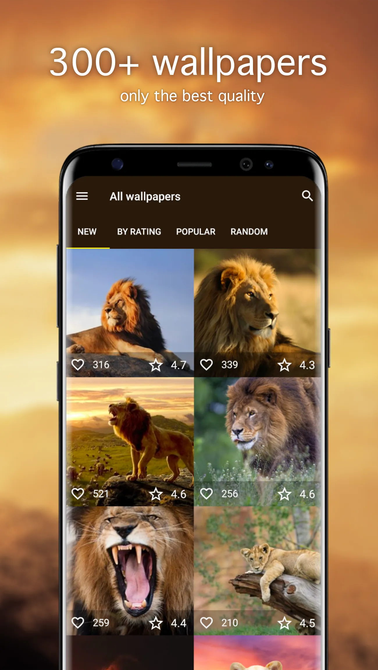 Lion Wallpapers 4K | Indus Appstore | Screenshot