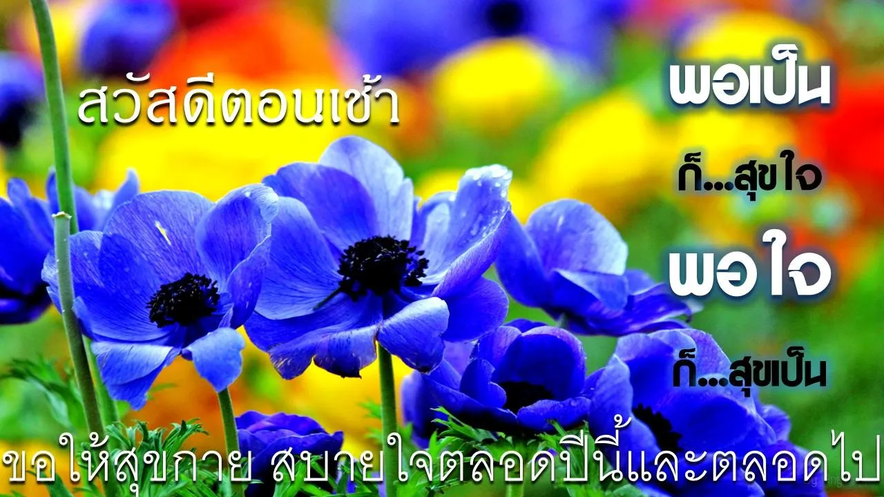 สวัสดีอรุณสวัสดิ์ | Indus Appstore | Screenshot