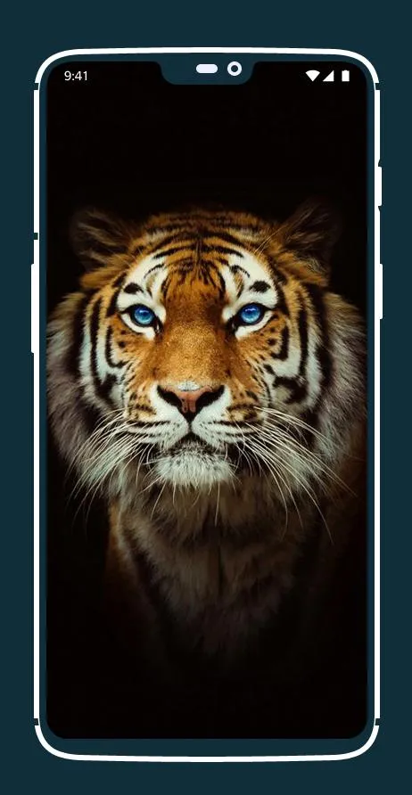 Tiger Wallpapers | Indus Appstore | Screenshot