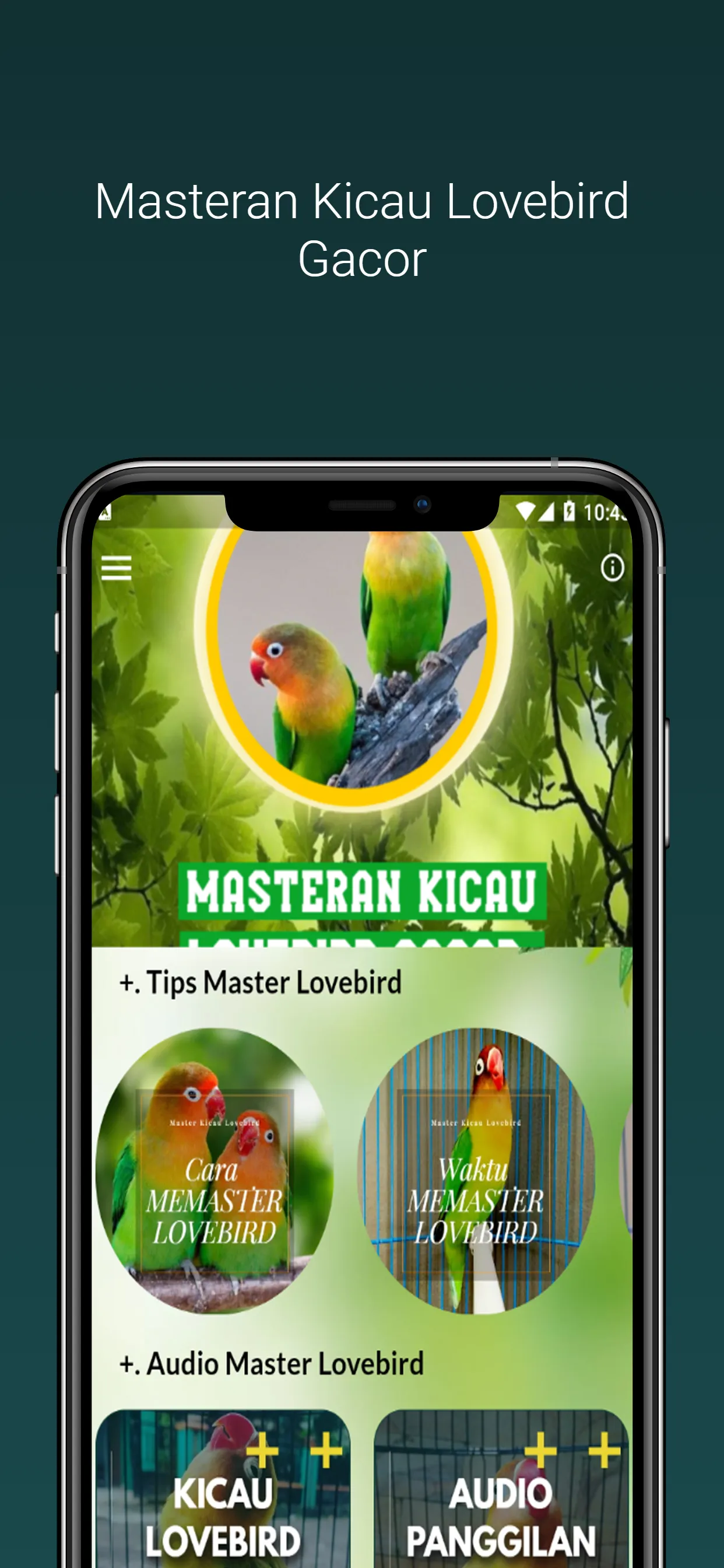 Masteran Kicau Lovebird Gacor | Indus Appstore | Screenshot